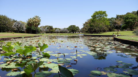 Anderson Park Botanic Gardens - Great Ocean Road Tourism 0