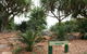 Anderson Park Botanic Gardens - thumb 2