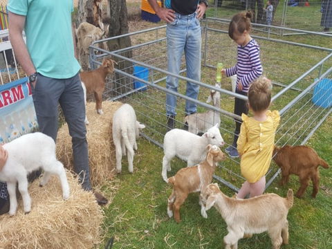 Animal Farm Visit - Great Ocean Road Tourism 2