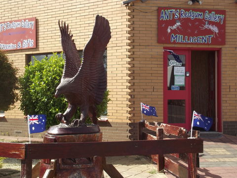 Ant's Redgum Gallery - Great Ocean Road Tourism 0
