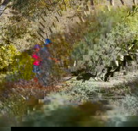 Australian Arid Lands Botanic Garden - Great Ocean Road Tourism