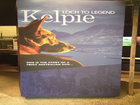 Australian Kelpie Centre - Great Ocean Road Tourism 1