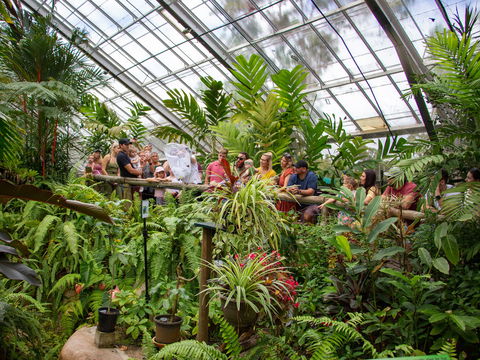 Australian Butterfly Sanctuary - Great Ocean Road Tourism 2
