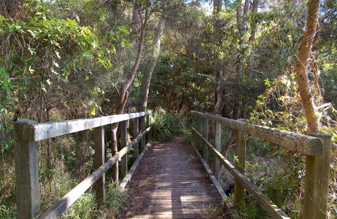 Awaba Bay Foreshore Walk - Great Ocean Road Tourism 0