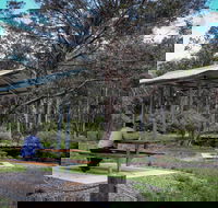 Barrington Tops State Forest - Great Ocean Road Tourism