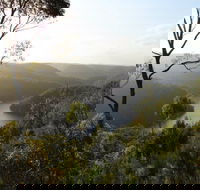 Berowra Valley National Park - Great Ocean Road Tourism