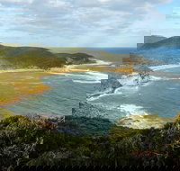 Bullimah Spur Track - Great Ocean Road Tourism