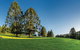 Bunya Mountains National Park - thumb 0