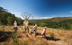 Bunya Mountains National Park - thumb 2