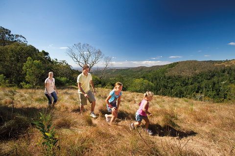 Bunya Mountains National Park - Great Ocean Road Tourism 2