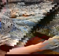 Canberra Reptile Zoo - Great Ocean Road Tourism