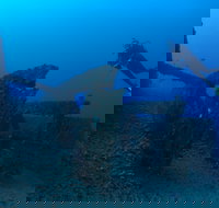 Cementco Dive Site - Great Ocean Road Tourism