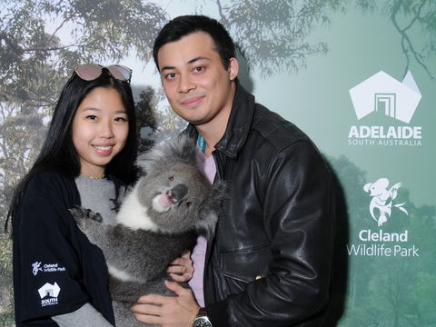 Cleland Wildlife Park - Koala Hold - Great Ocean Road Tourism 0