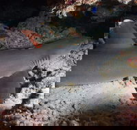 Coral Gardens - Great Ocean Road Tourism