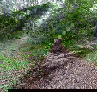 Double Wharf Trail - Great Ocean Road Tourism