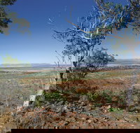 Five Rivers Lookout - Great Ocean Road Tourism