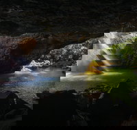 Gondwana Rainforests of Australia World Heritage Area - Great Ocean Road Tourism