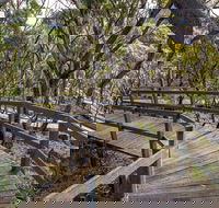 Governor Summit Corrunbral Borawah Walking Track - Great Ocean Road Tourism