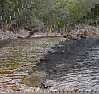 Lake Rowallan - Great Ocean Road Tourism