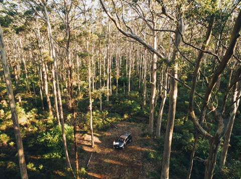 Leeuwin-Naturaliste National Park - Cowaramup - Great Ocean Road Tourism 0