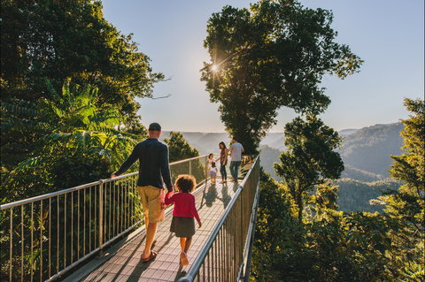 Mamu Tropical Skywalk - Great Ocean Road Tourism 0