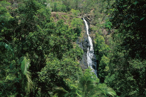 Mapleton Falls National Park - Great Ocean Road Tourism 0