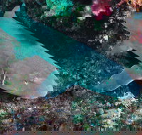 Middle Reef Dive Site - Great Ocean Road Tourism