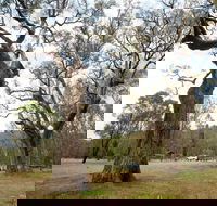 Moolarben Picnic Area - Great Ocean Road Tourism