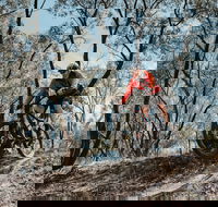 Mountain Bike Trails Deniliquin - Great Ocean Road Tourism