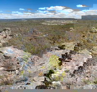 Munghorn Gap Nature Reserve - Great Ocean Road Tourism