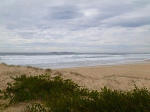 Narooma Surf Beach - Great Ocean Road Tourism 0