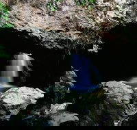 Natural Bridge Circuit Springbrook National Park - Great Ocean Road Tourism