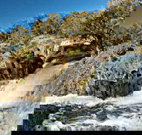 Oxley Walking Track - Great Ocean Road Tourism