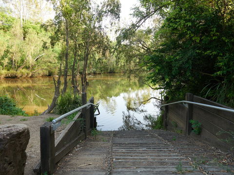 Shapcott Park - Great Ocean Road Tourism 0