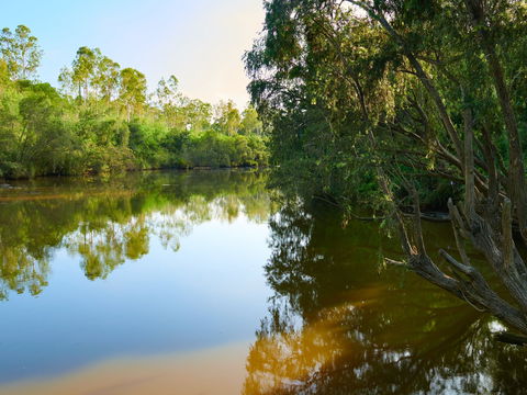 Shapcott Park - Great Ocean Road Tourism 1