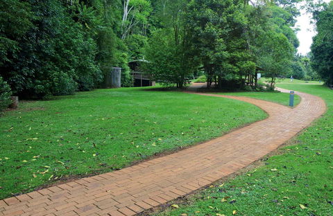 The Glade Picnic Area - Great Ocean Road Tourism 0