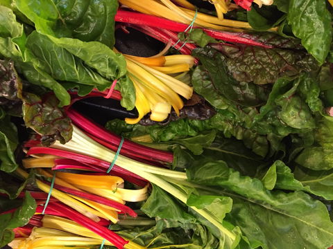 Tomerong Markets - Great Ocean Road Tourism 1