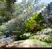 Wadbilliga Road drive - Great Ocean Road Tourism