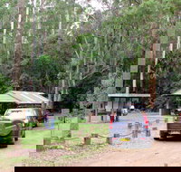 Wallingat Forest Drive - Great Ocean Road Tourism