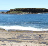 Wasp Head Picnic Area - Great Ocean Road Tourism