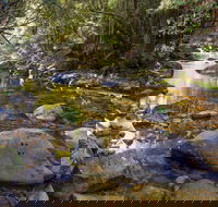 Washpool Walking Track - Great Ocean Road Tourism