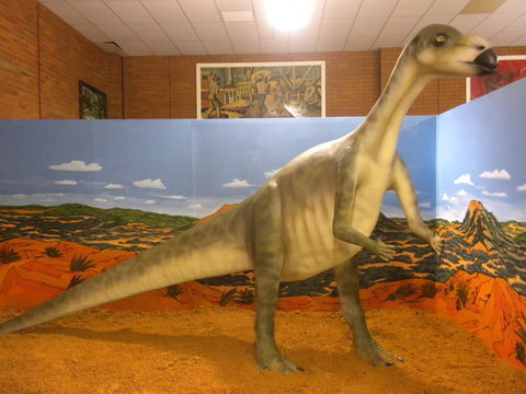 Wentworth Pioneer Museum - Great Ocean Road Tourism 1