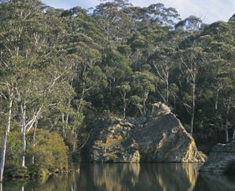 Woodford - Great Ocean Road Tourism 0
