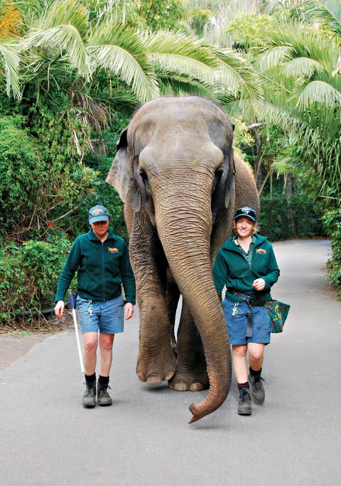 Animals And Family Fun - Great Ocean Road Tourism 2