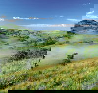 Bega - Great Ocean Road Tourism
