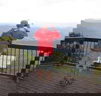 Best of All lookout track Springbrook National Park - Great Ocean Road Tourism