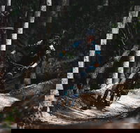 Boomerang Farm Bike Park - Great Ocean Road Tourism