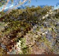 Boonoo Boonoo Falls picnic area - Great Ocean Road Tourism