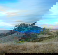 Burning Mountain Nature Reserve - Great Ocean Road Tourism