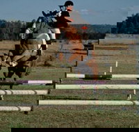 Camden Bicentennial Equestrian Park - Great Ocean Road Tourism